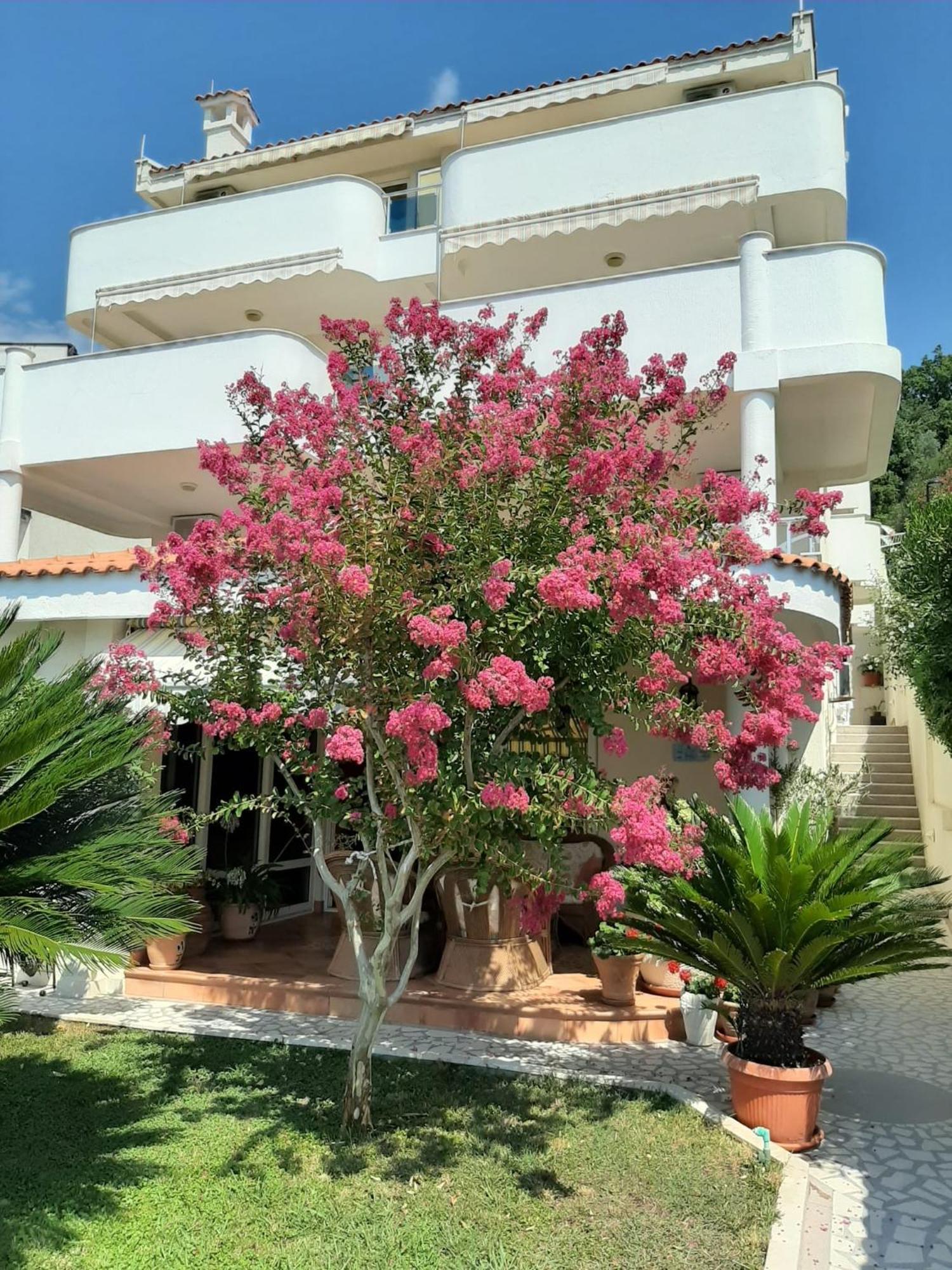 Apartments Villa Mare Mar Sutomore Luaran gambar